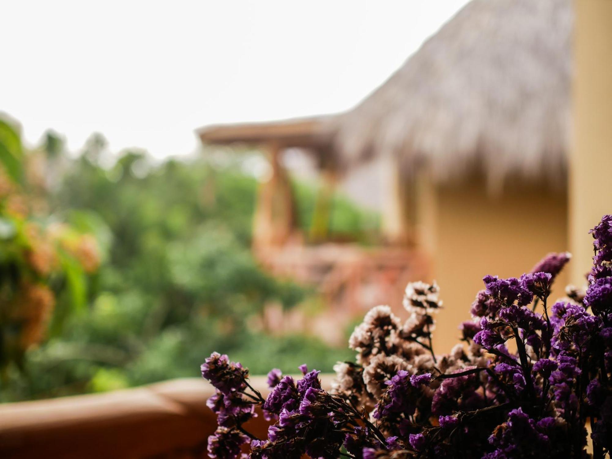 Carpe Diem Casitas&Villas Mazunte Habitación foto